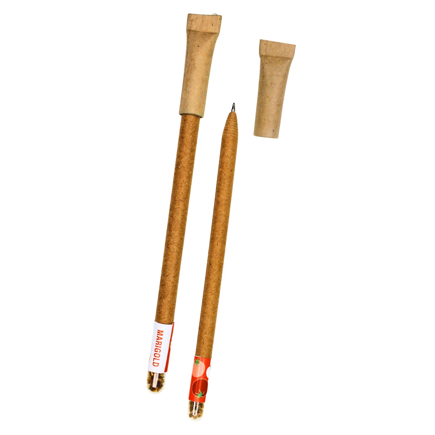 Plantable Paper Pen