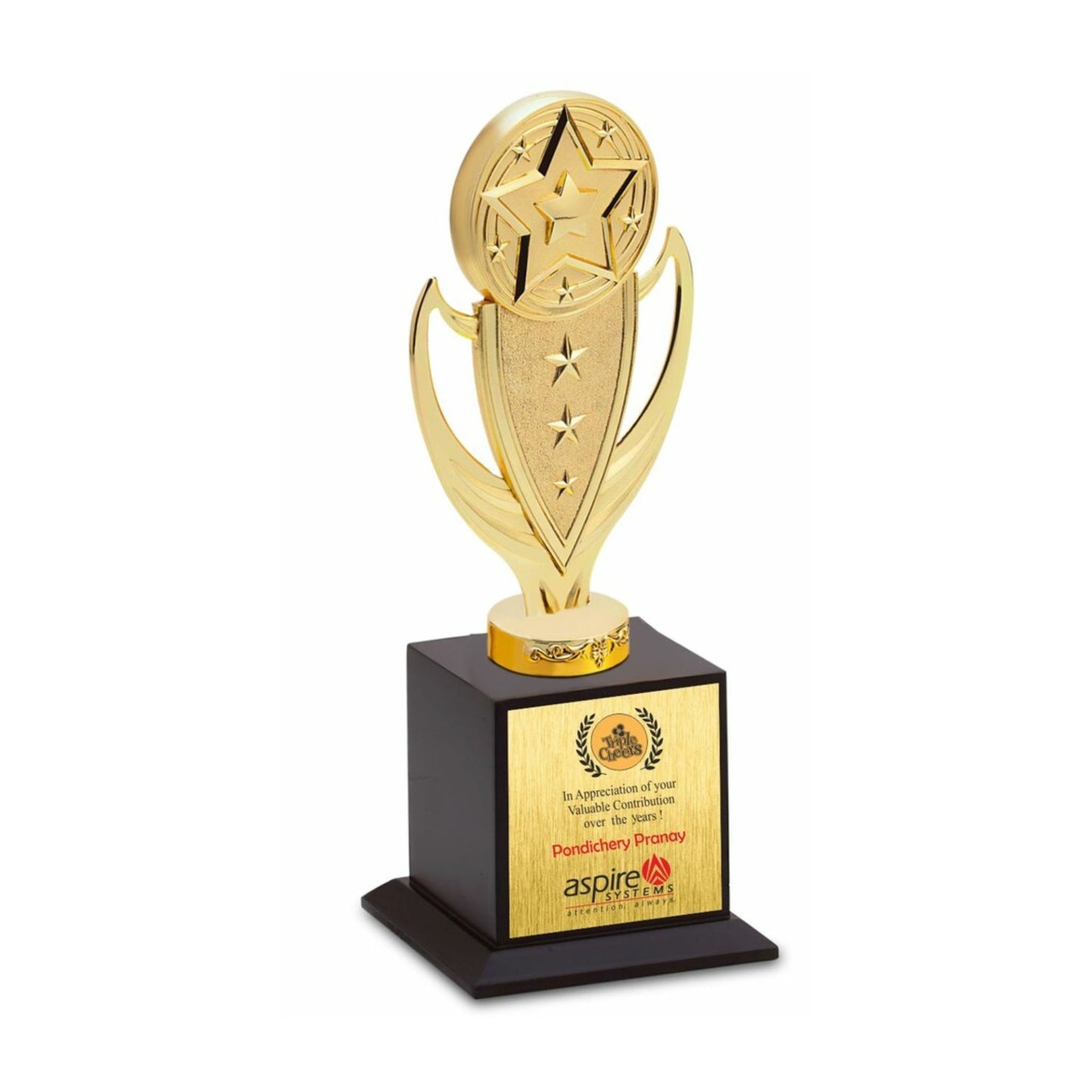 Metal Trophy