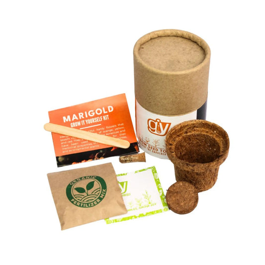 Mini Grow (GIY Kit)