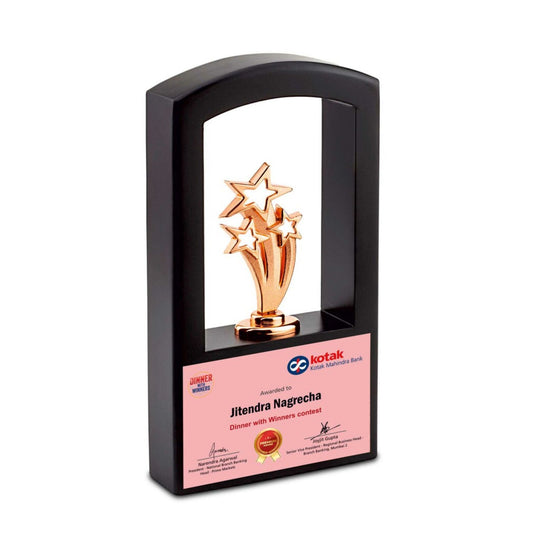 Star Stack Frame Trophy