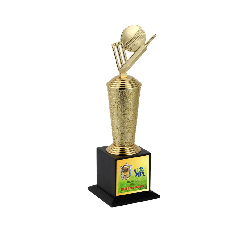 Cricket Theme Trophy With Fibre Pipe – Corposupplies India