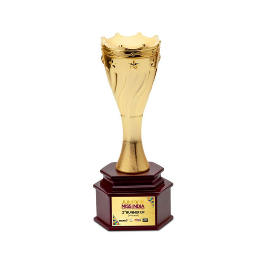 Premium Cup Metal Trophy
