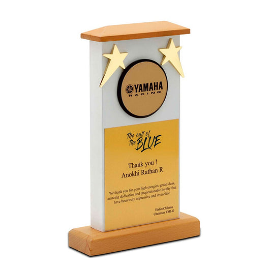 Economical Wooden Trophy With Star