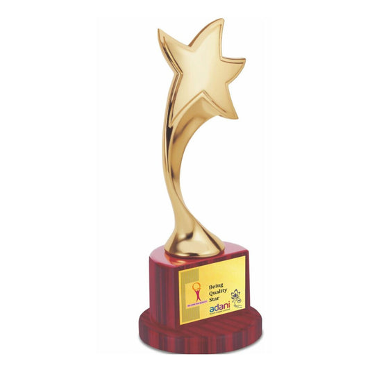 North Star Trophy Guiding Excellence