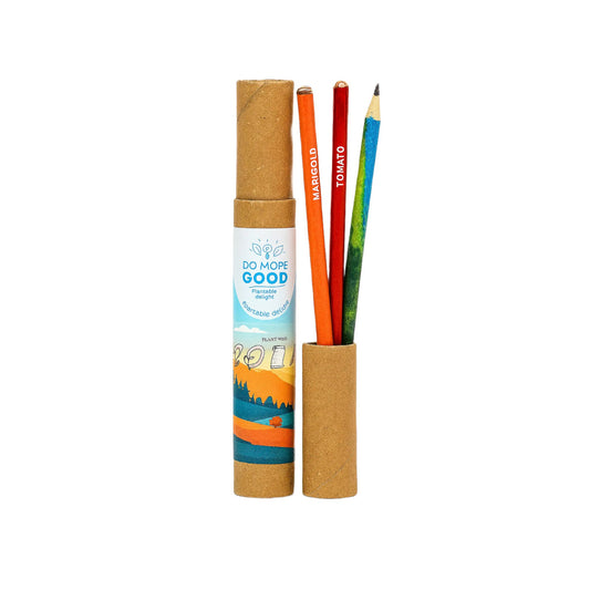 Plantable Seed Pencil (5pc Set)