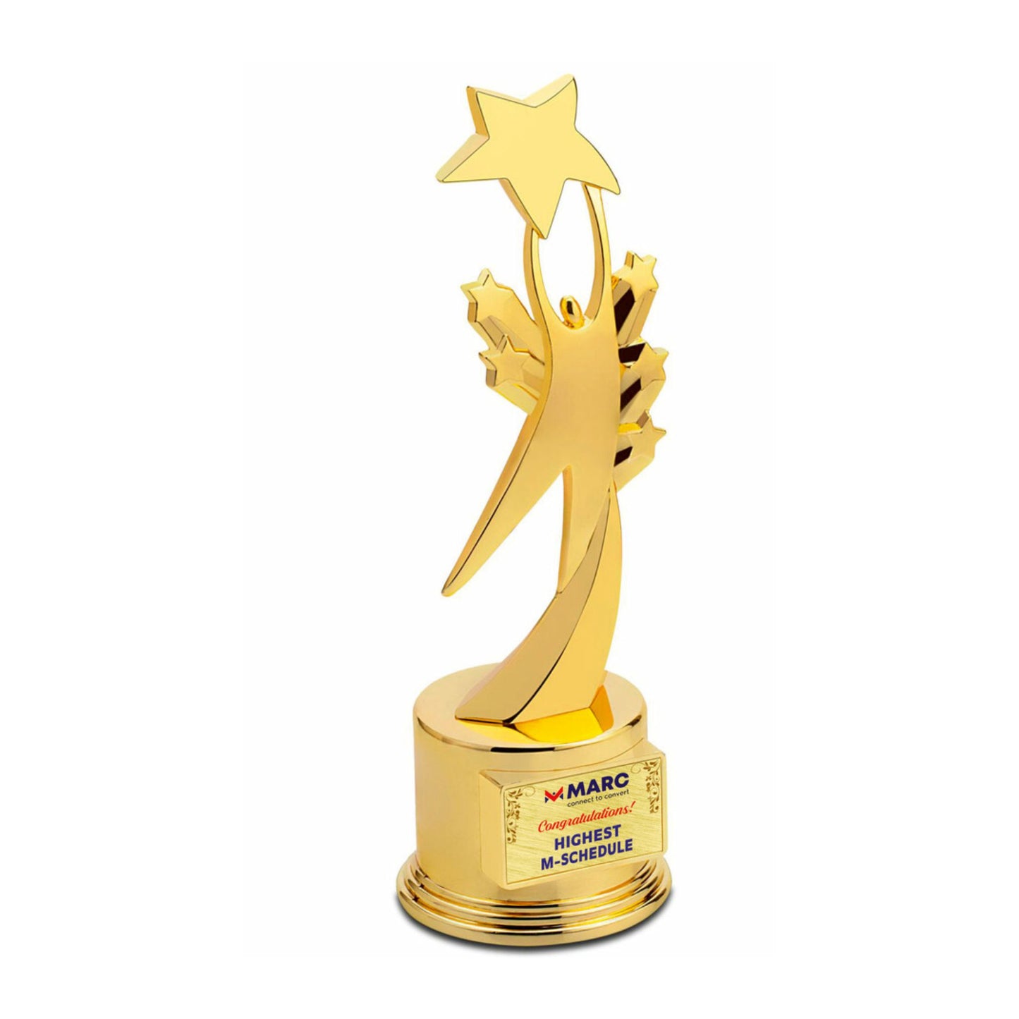 Soaring Success Trophy